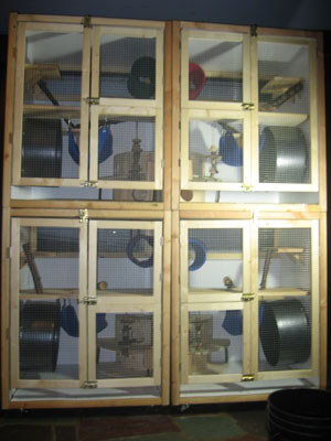petsmart cage